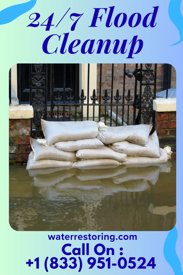 24/7 Flood Cleanup in Picture Rocks, PA