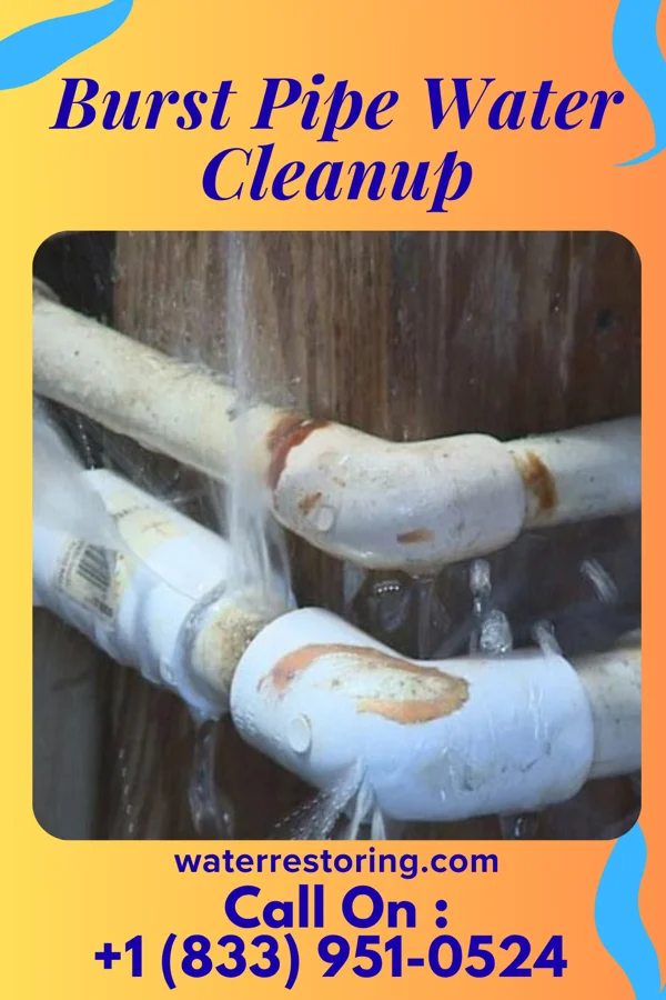 Burst Pipe Water Cleanup in Picture Rocks, PA