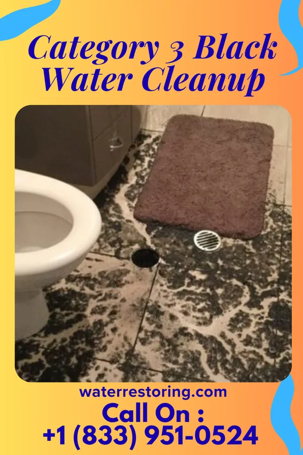 Category 3 Black Water Cleanup in Picture Rocks, PA