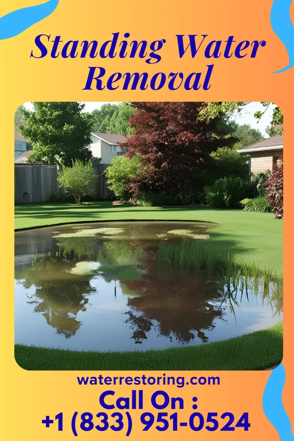 Standing Water Removal in Picture Rocks, PA